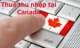 Thuế thu nhập cá nhân ở Canada có gì mới?