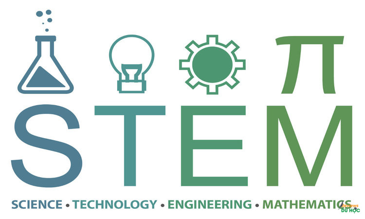 Du học ngành STEM: Chi phí, điều kiện và những quốc gia đào tạo hàng đầu