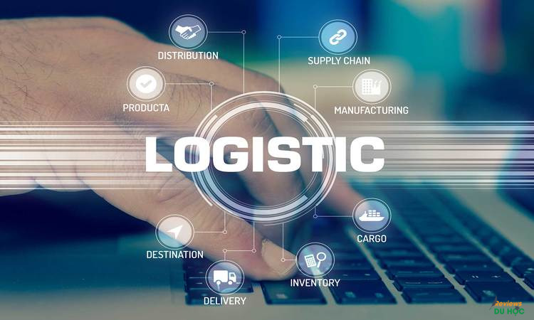 Ngành Logistics là gì?